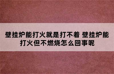 壁挂炉能打火就是打不着 壁挂炉能打火但不燃烧怎么回事呢